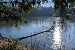 PXL_20241226_105542646.MP_HD