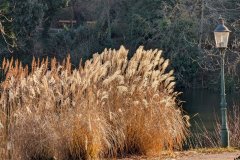 PXL_20241226_110111697_HD