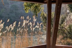 PXL_20241226_110153525.MP_HD