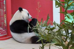 PXL_20250528_135545939_HD