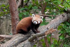 PXL_20250528_141535635_HD