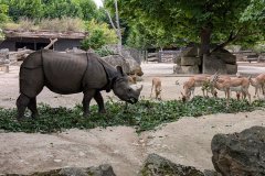 PXL_20250528_142605418_HD