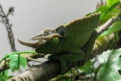 PXL_20250528_143010158_HD