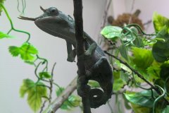 PXL_20250528_143104702_HD