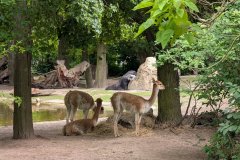 PXL_20250528_144515362_HD