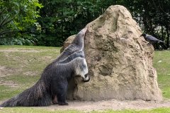 PXL_20250528_144806057.LONG_EXPOSURE-02.ORIGINAL_HD