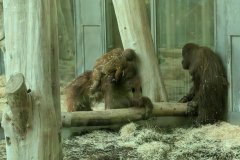 PXL_20250528_150001787_HD