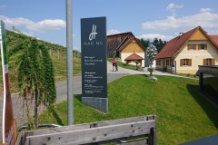 DSC09035_DSC_7878_HD