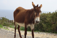 Wächter des Nationalparks